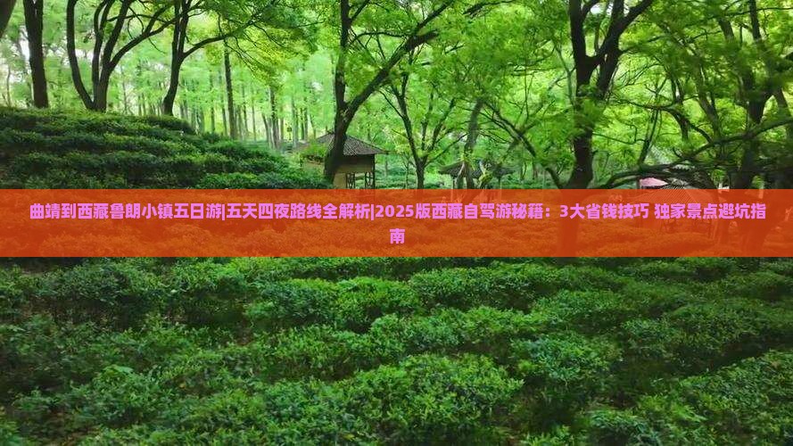 曲靖到西藏鲁朗小镇五日游