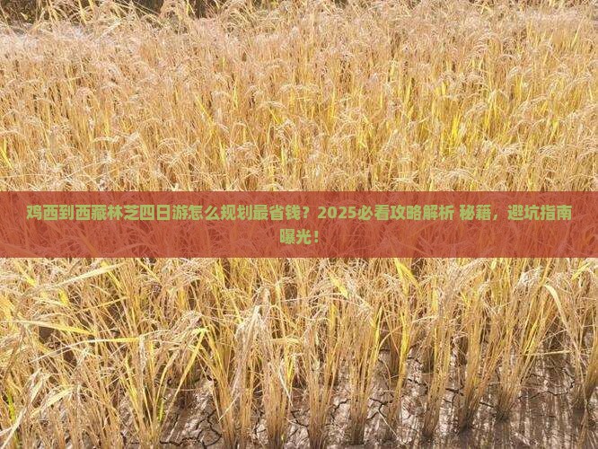 鸡西到西藏林芝四日游