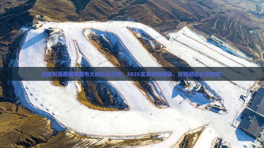 白城到西藏雅鲁藏布大峡谷五日游