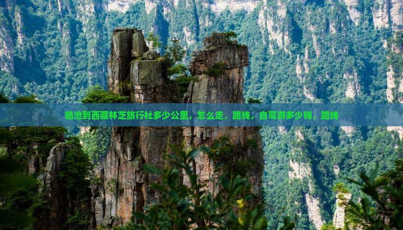 临沧到西藏林芝旅行社