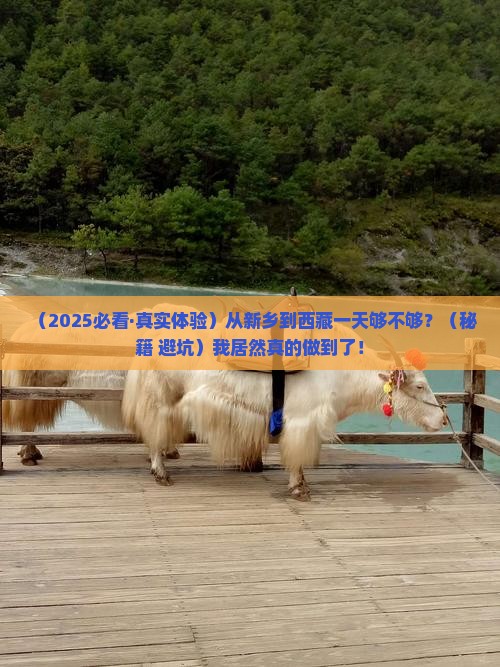 新乡到西藏一日