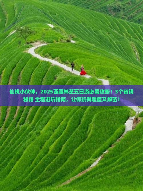 仙桃去西藏林芝五日游