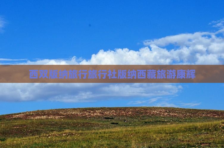 西双版纳到西藏大昭寺旅行社 西双版纳到西藏大昭寺旅行社