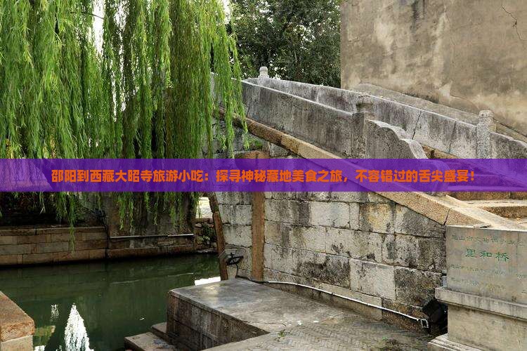 邵阳到西藏大昭寺旅游小吃