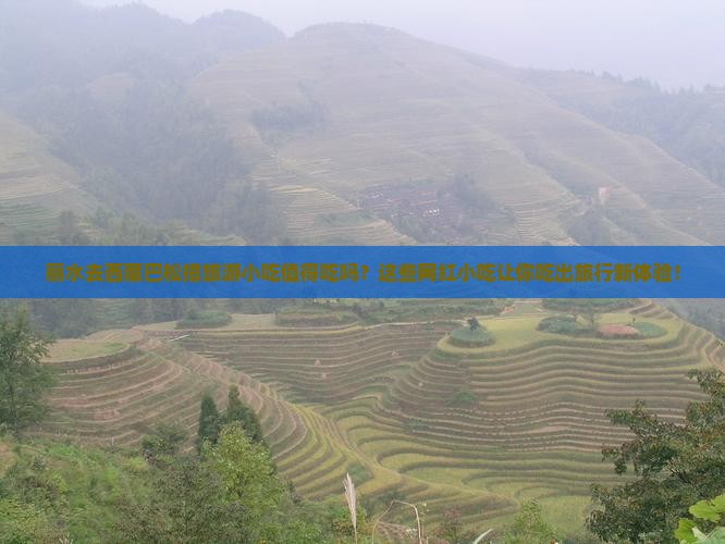丽水去西藏巴松措旅游小吃