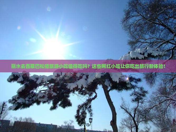 丽水去西藏巴松措旅游小吃
