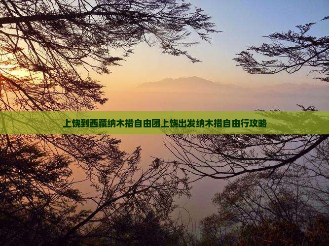 上饶到西藏纳木措自由团