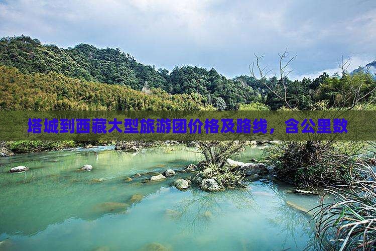 塔城到西藏大型旅游团