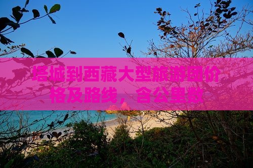 塔城到西藏大型旅游团