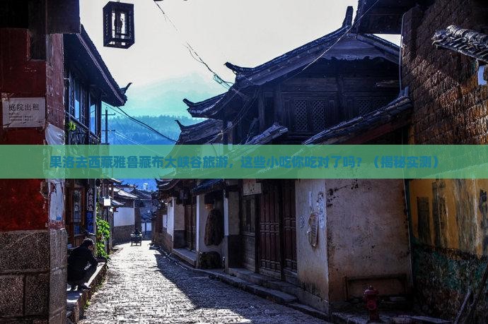 果洛去西藏雅鲁藏布大峡谷旅游小吃
