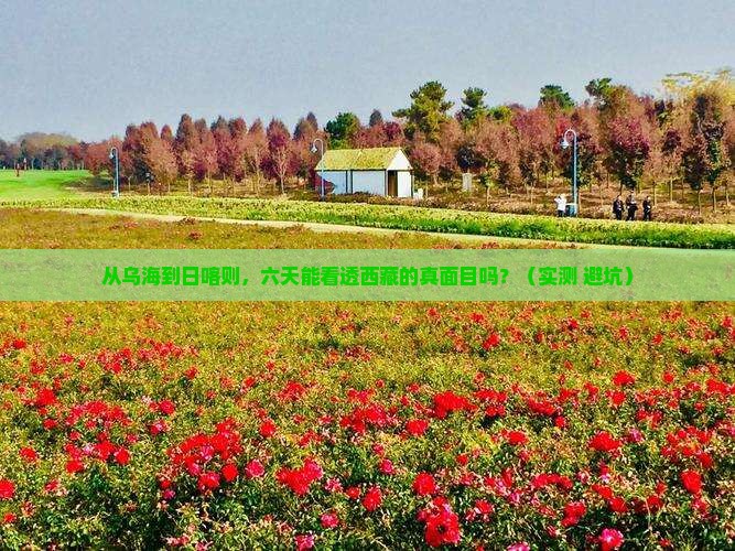 乌海到西藏日喀则六日游