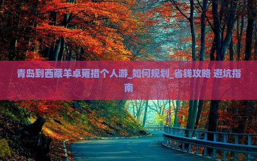 青岛到西藏羊卓雍措个人游
