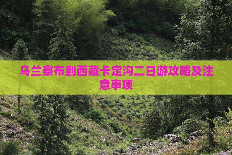 乌兰察布到西藏卡定沟二日游