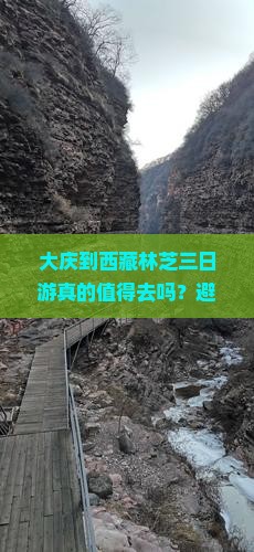 大庆到西藏林芝三日游