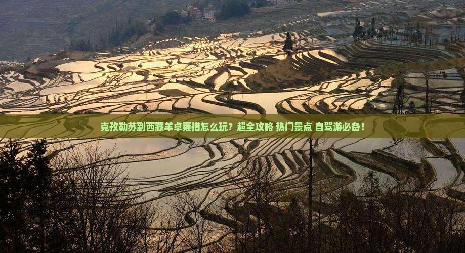 克孜勒苏到西藏羊卓雍措大型旅游团