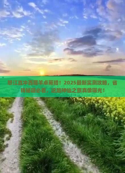 怒江去西藏羊卓雍措一日