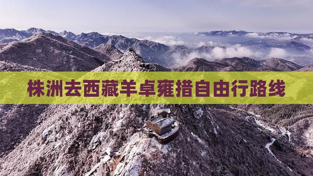 株洲去西藏羊卓雍措自由行