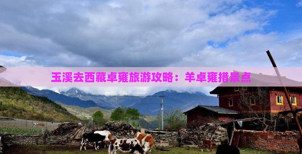 玉溪去西藏羊卓雍措景点