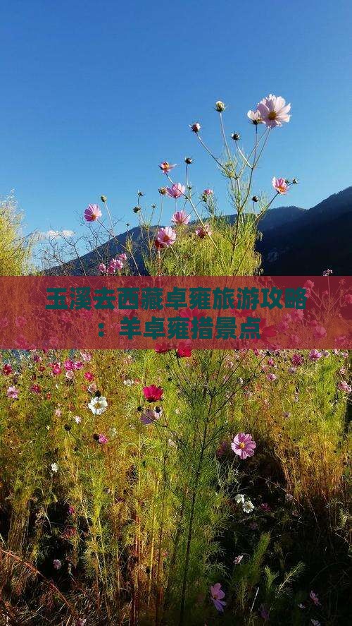 玉溪去西藏羊卓雍措景点