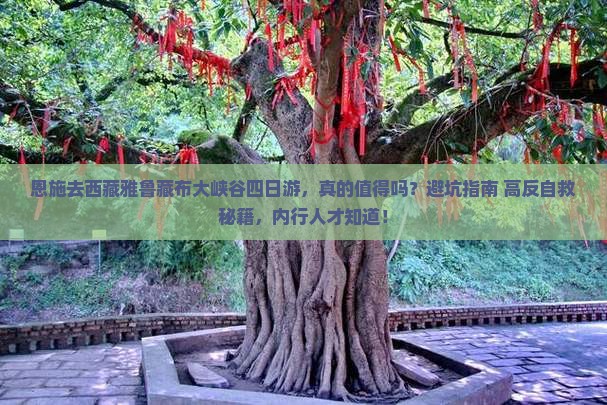 恩施去西藏雅鲁藏布大峡谷四日游