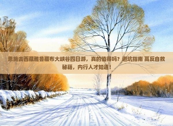 恩施去西藏雅鲁藏布大峡谷四日游