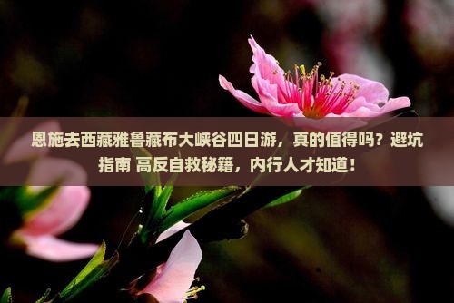 恩施去西藏雅鲁藏布大峡谷四日游