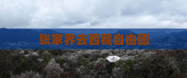 张家界去西藏自由团