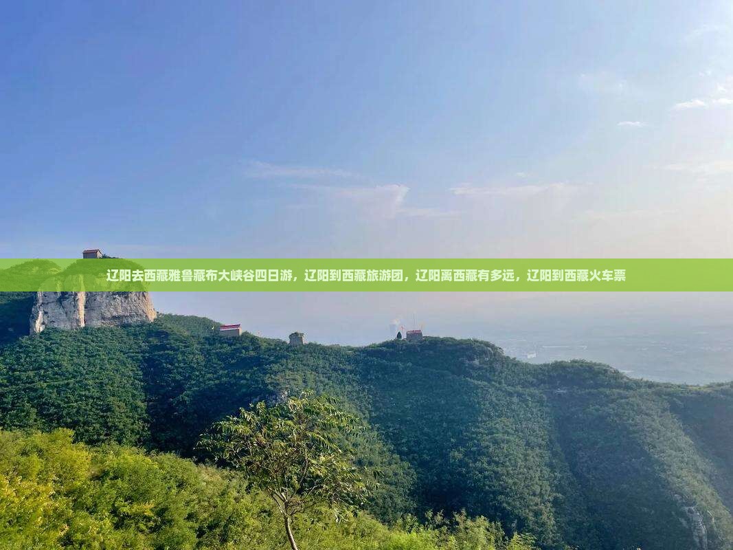 辽阳去西藏雅鲁藏布大峡谷四日游