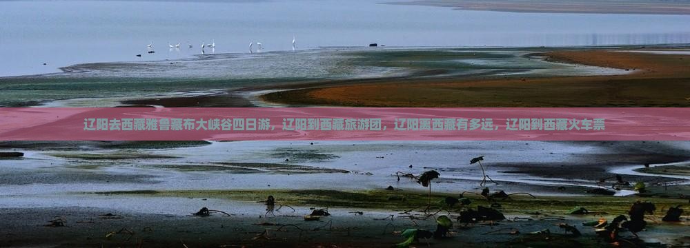 辽阳去西藏雅鲁藏布大峡谷四日游