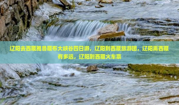 辽阳去西藏雅鲁藏布大峡谷四日游