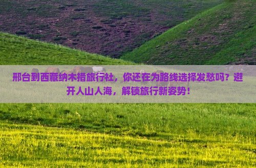 邢台到西藏纳木措旅行社