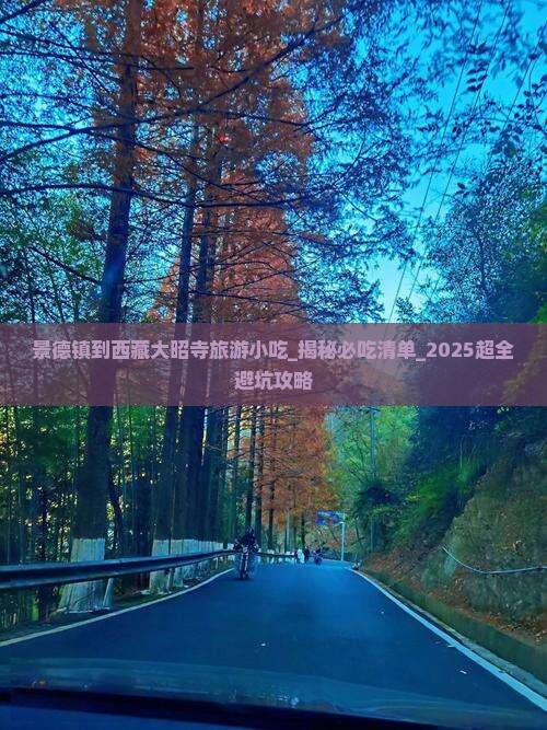 景德镇到西藏大昭寺旅游小吃