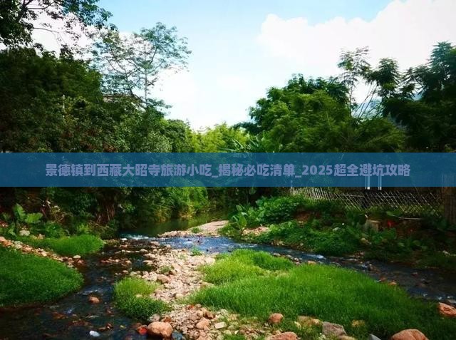 景德镇到西藏大昭寺旅游小吃