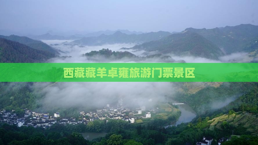 海西到西藏羊卓雍措门票