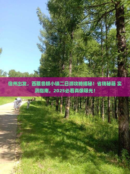 宿州去西藏鲁朗小镇二日游