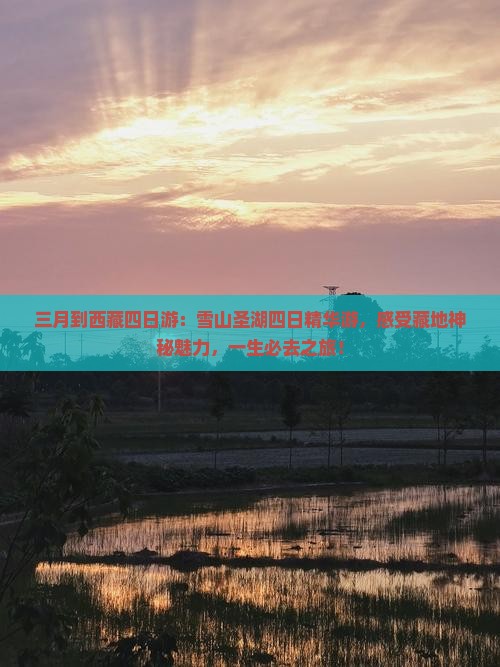 三月到西藏四日游 三月到西藏四日游