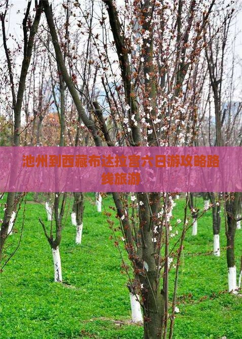 池州到西藏布达拉宫六日游