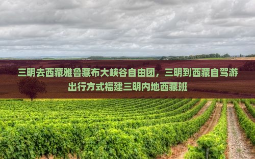 三明去西藏雅鲁藏布大峡谷自由团
