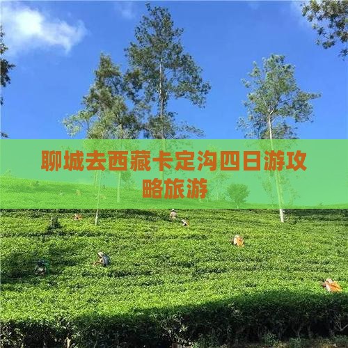 聊城去西藏卡定沟四日游