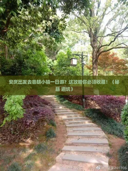 安庆去西藏鲁朗小镇一日