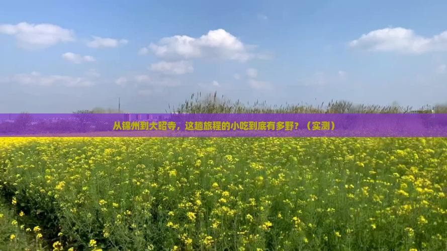 锦州到西藏大昭寺旅游小吃