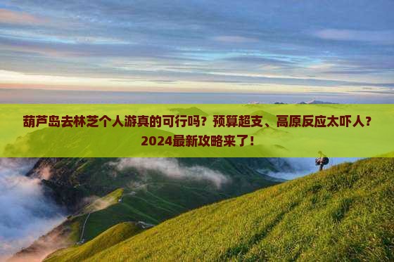 葫芦岛去西藏林芝个人游