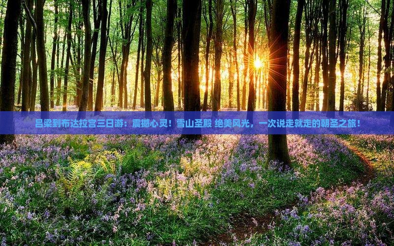 吕梁到西藏布达拉宫三日游