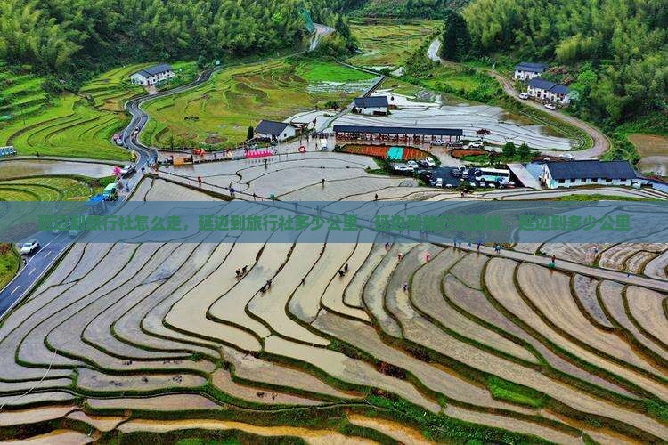 延边到西藏旅行社