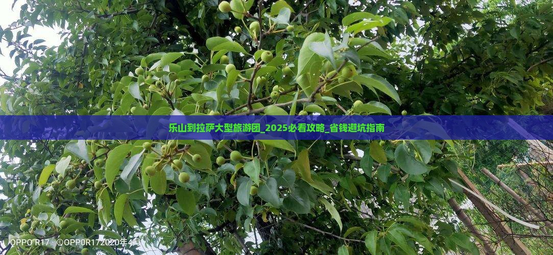 乐山到西藏拉萨大型旅游团
