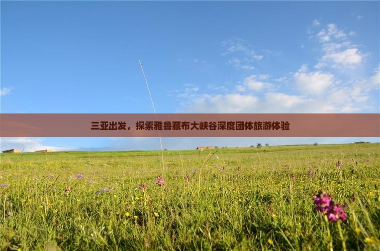 三亚去西藏雅鲁藏布大峡谷团体旅游