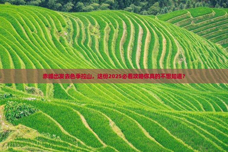 赤峰去西藏色季拉山团体旅游