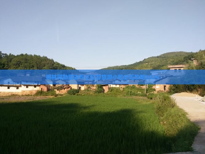 锡林郭勒盟去西藏布达拉宫旅游小吃