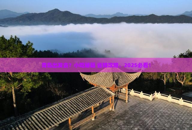 青岛去西藏旅游小吃