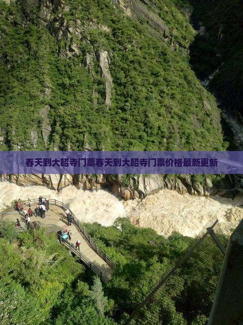 春天到西藏大昭寺门票
